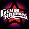 Gemini Arabians