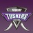 Kochi Tuskers Kerala