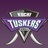 Kochi Tuskers Kerala