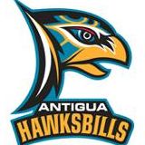 Antigua Hawksbills