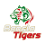 Bangla Tigers